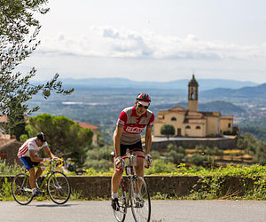 LA VINARIA - Ciclostorica