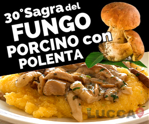 Sagra del Fungo Porcino con la Polenta