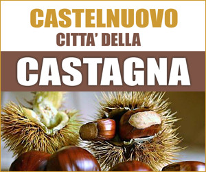 Castelnuovo Città della Castagna