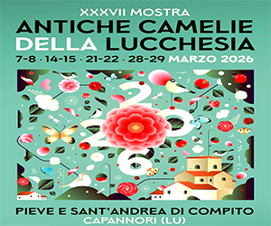 Lucchesia in fiore: dalla Villa Reale al Borgo di Compito torna la stagione delle camelie