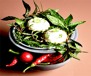 Selvaggia, Festa delle erbe spontanee, dei fiori e delle gemme. La natura si fa cultura a Castelnuovo di Garfagnana