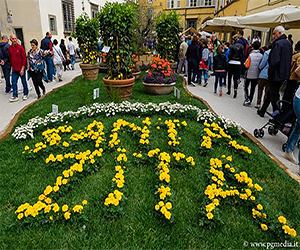Santa Zita, una Festa Lucchese. 5 giorni tra Fede, Fiori e Tradizione