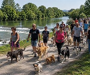 Tutti a passeggio con Fido: torna la Zampeggiata lungo il parco fluviale del Serchio